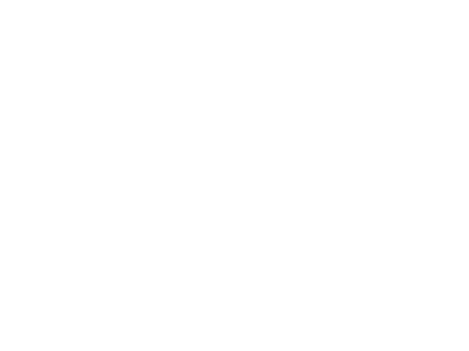 AI Accelerator Programme